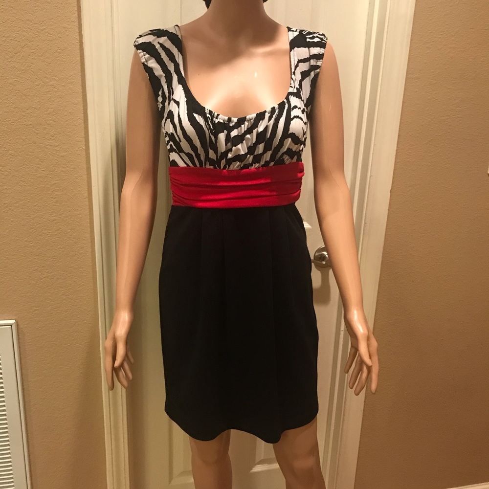 Zebra print dress